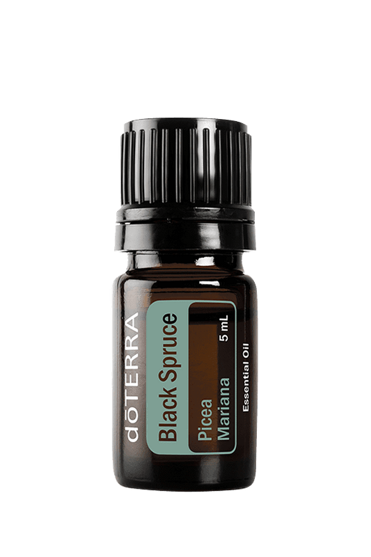 DOTERRA BLACK SPRUCE